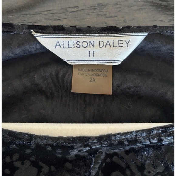 Velvet Burnout Top Dark Romantic Fairy Goth Scoop Neck Paisley Woman's Size 2XL - Picture 9 of 10